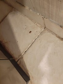 Dirt and bugs by the ice machine