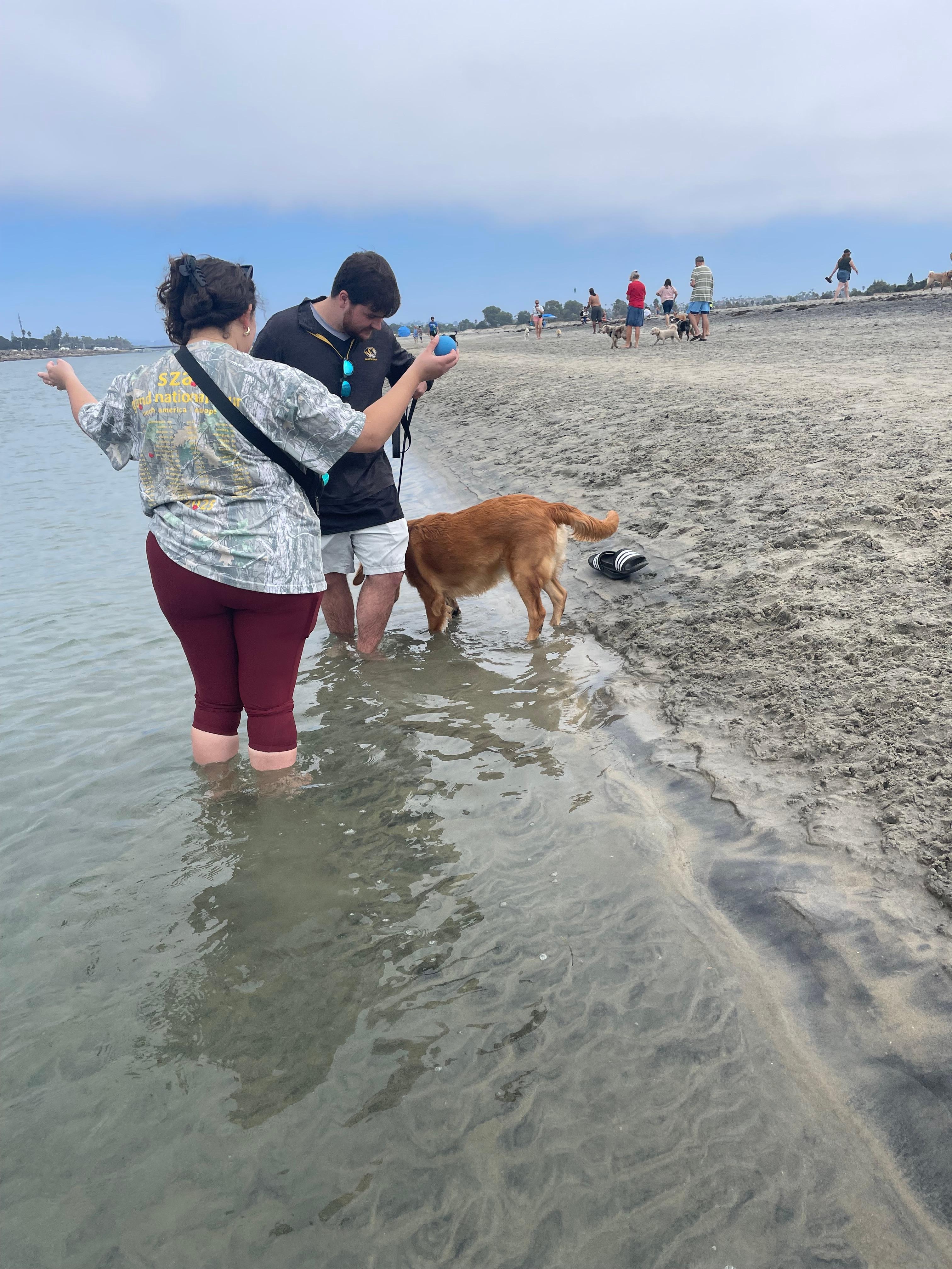 Quite spot on Ocean Beach Dog Beach 