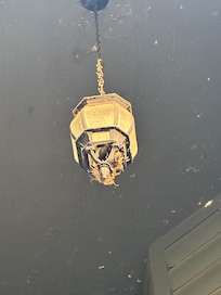 Spiders and bugs at front door!