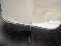 Roach on toilet
