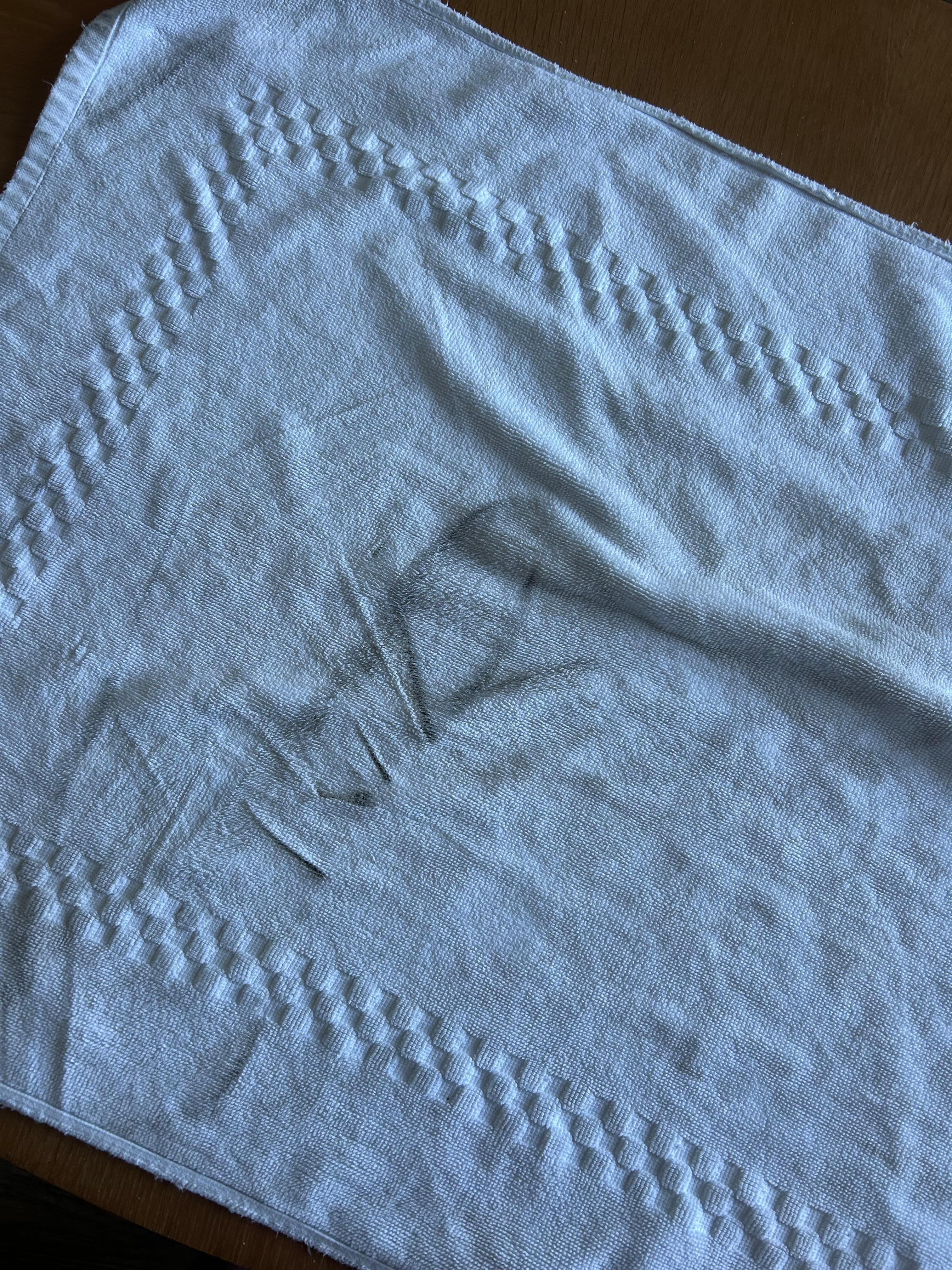 Towel I wiped across kitchen floor