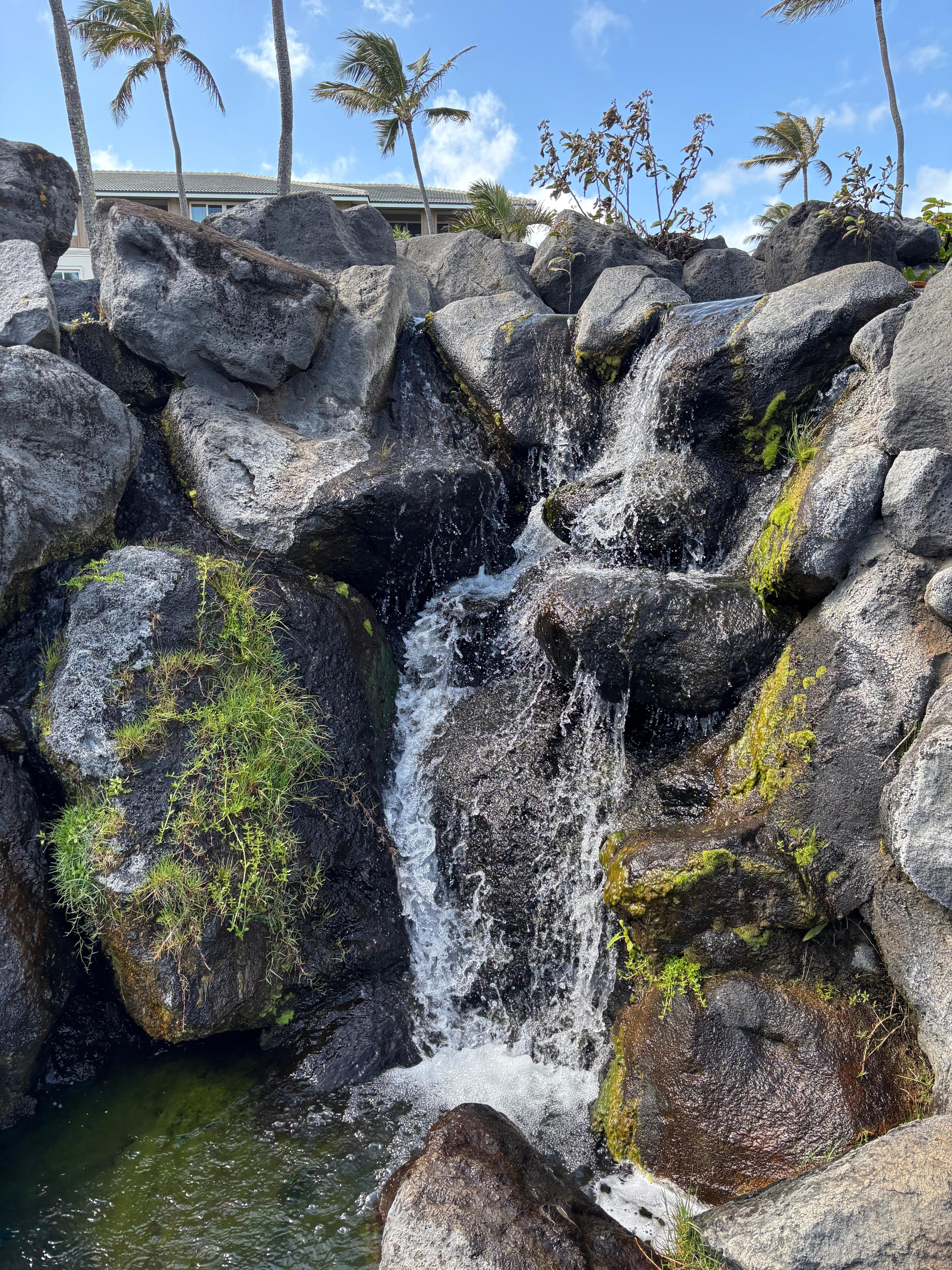Waterfall snd koi pond near pool
