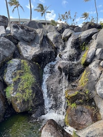 Waterfall snd koi pond near pool