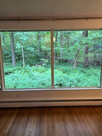 View from large window in living room.