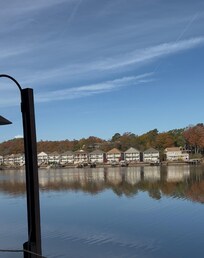 View from the back deck