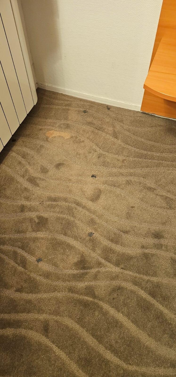 moquette douteuse