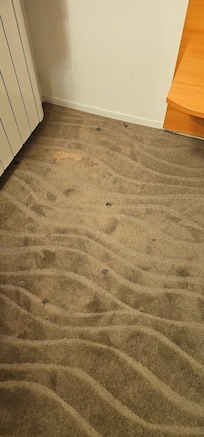 moquette douteuse