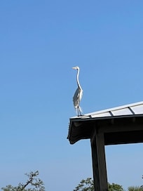 We enjoyed watching the wildlife.