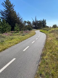 Radwege durch Heidelandschaft