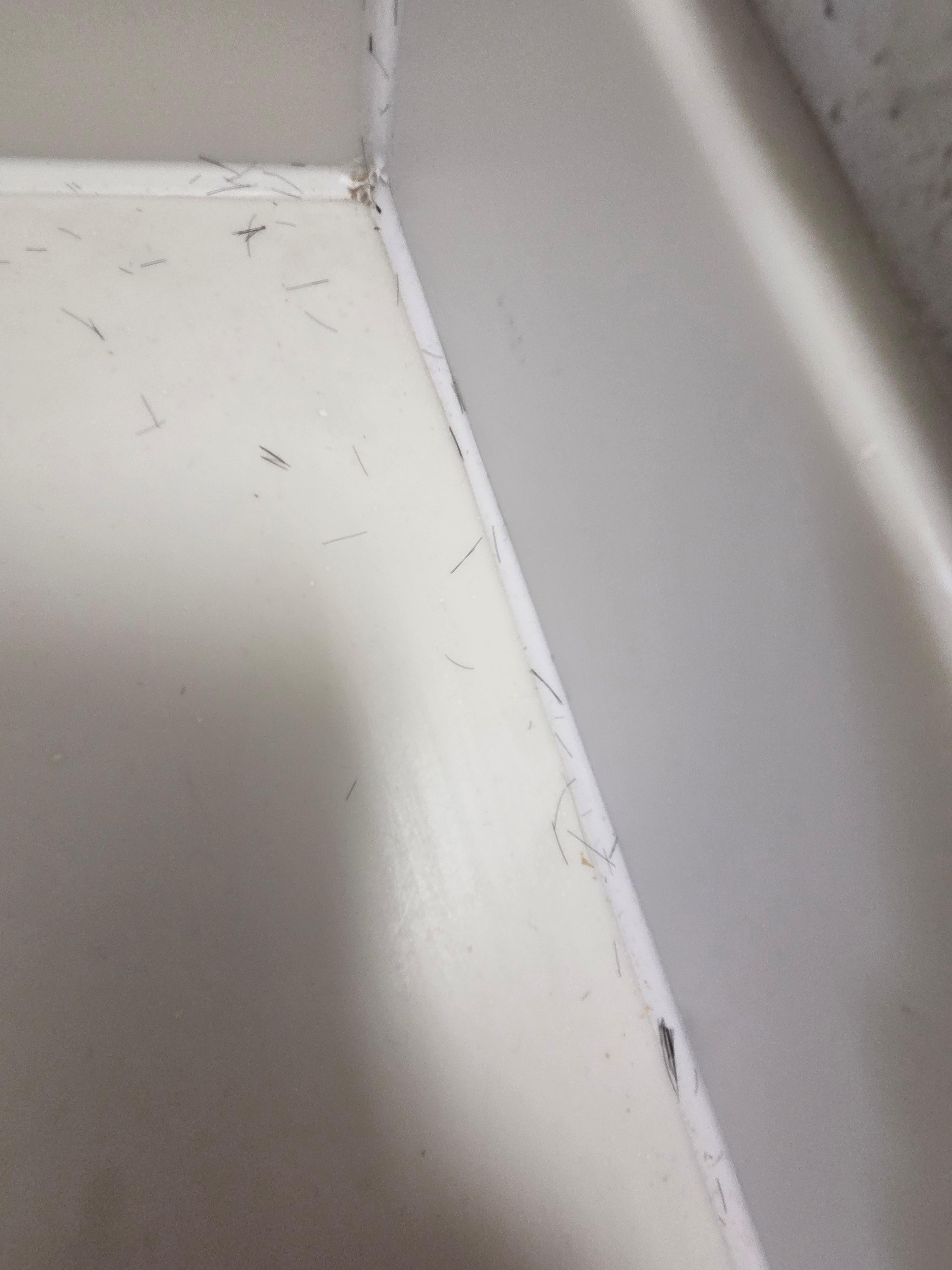 Some of hair found on counter