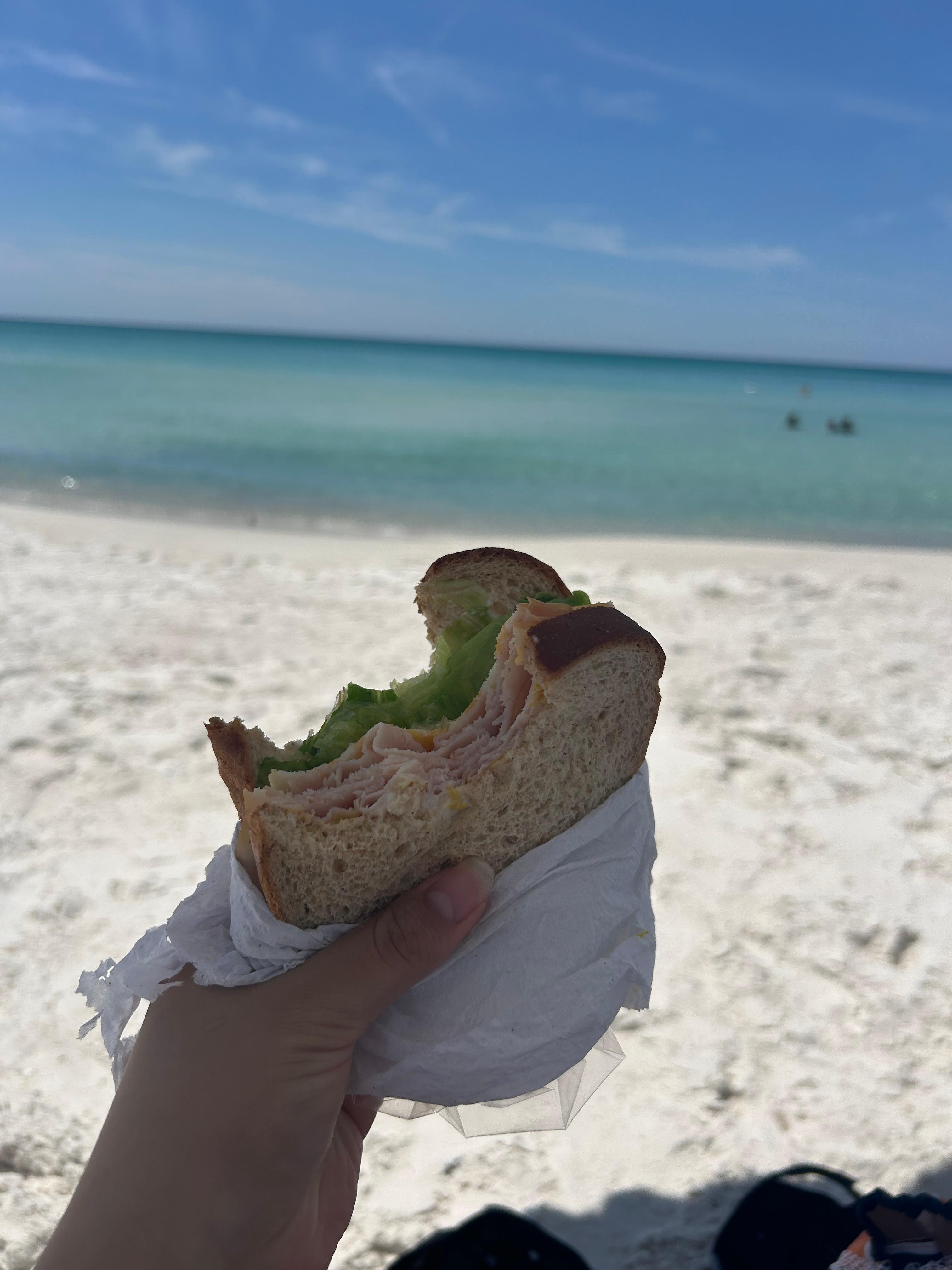 just my
sandwich i had beside the beach
