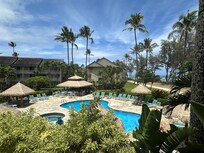 The view of the pool and tiki bar from the lanai