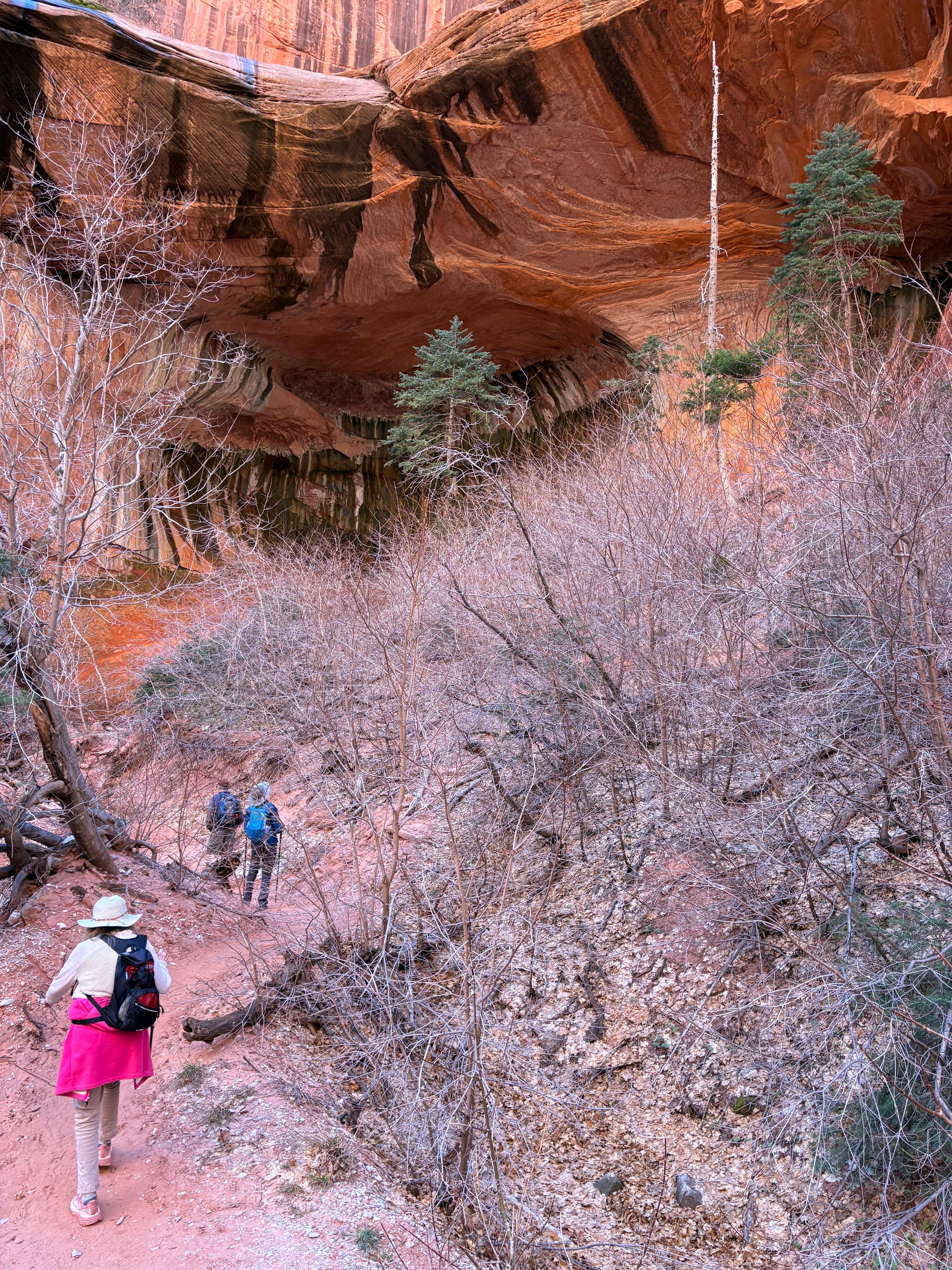 Taylor Creek Trail in Kolob Canyons