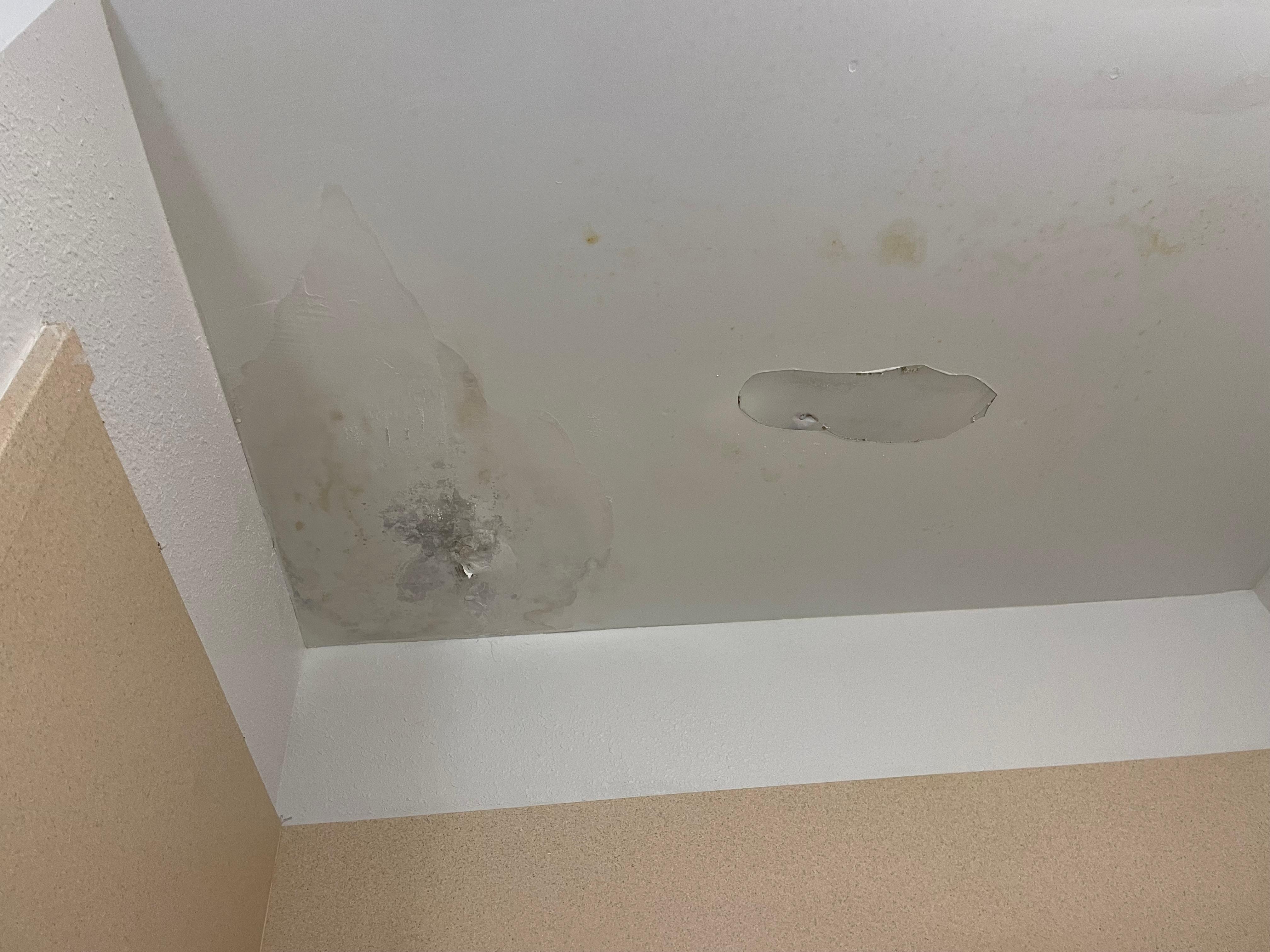 Water damage/possible mold spots on shower ceiling 