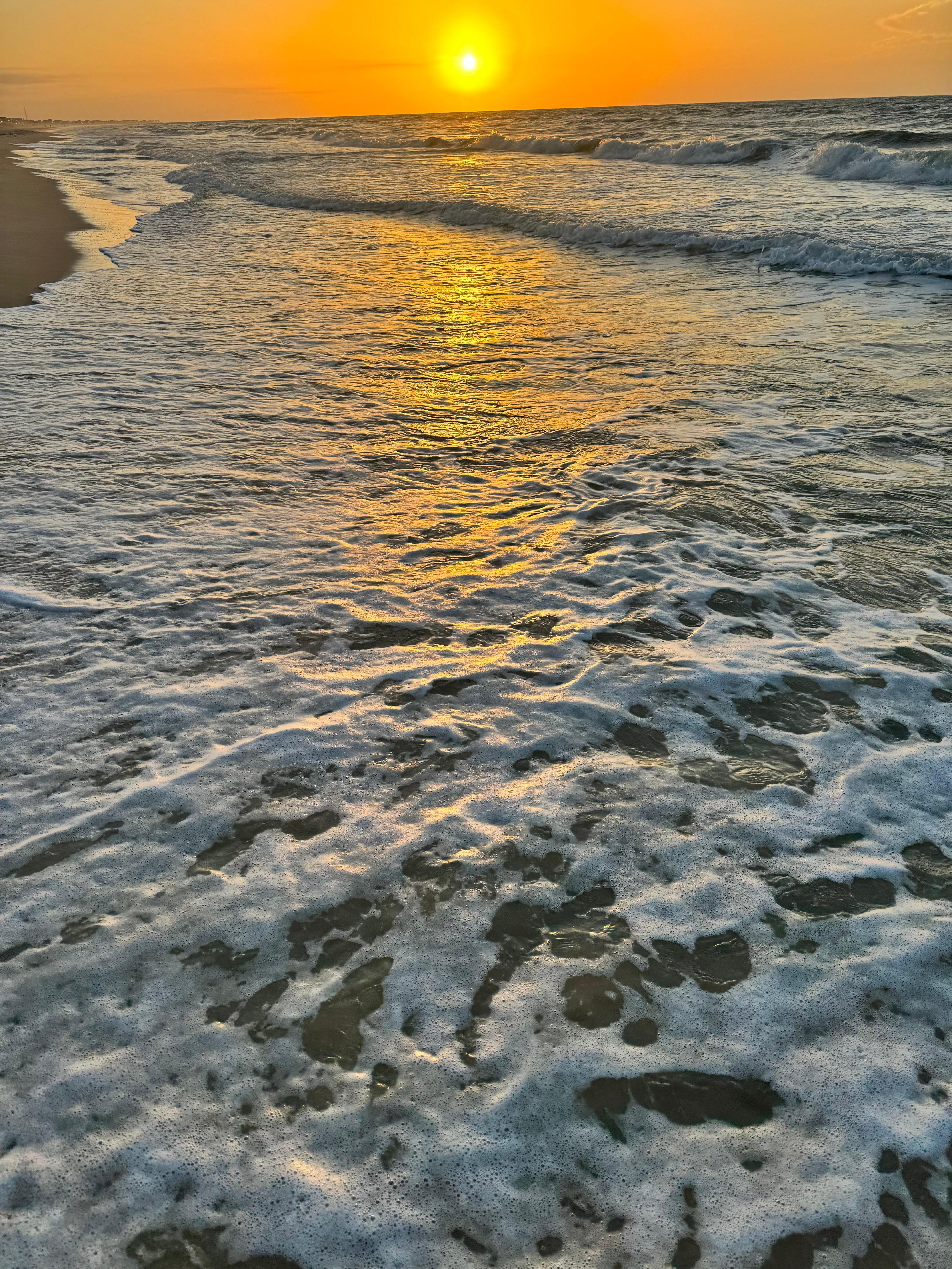 Morning walks on the beach