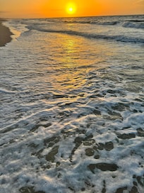 Morning walks on the beach