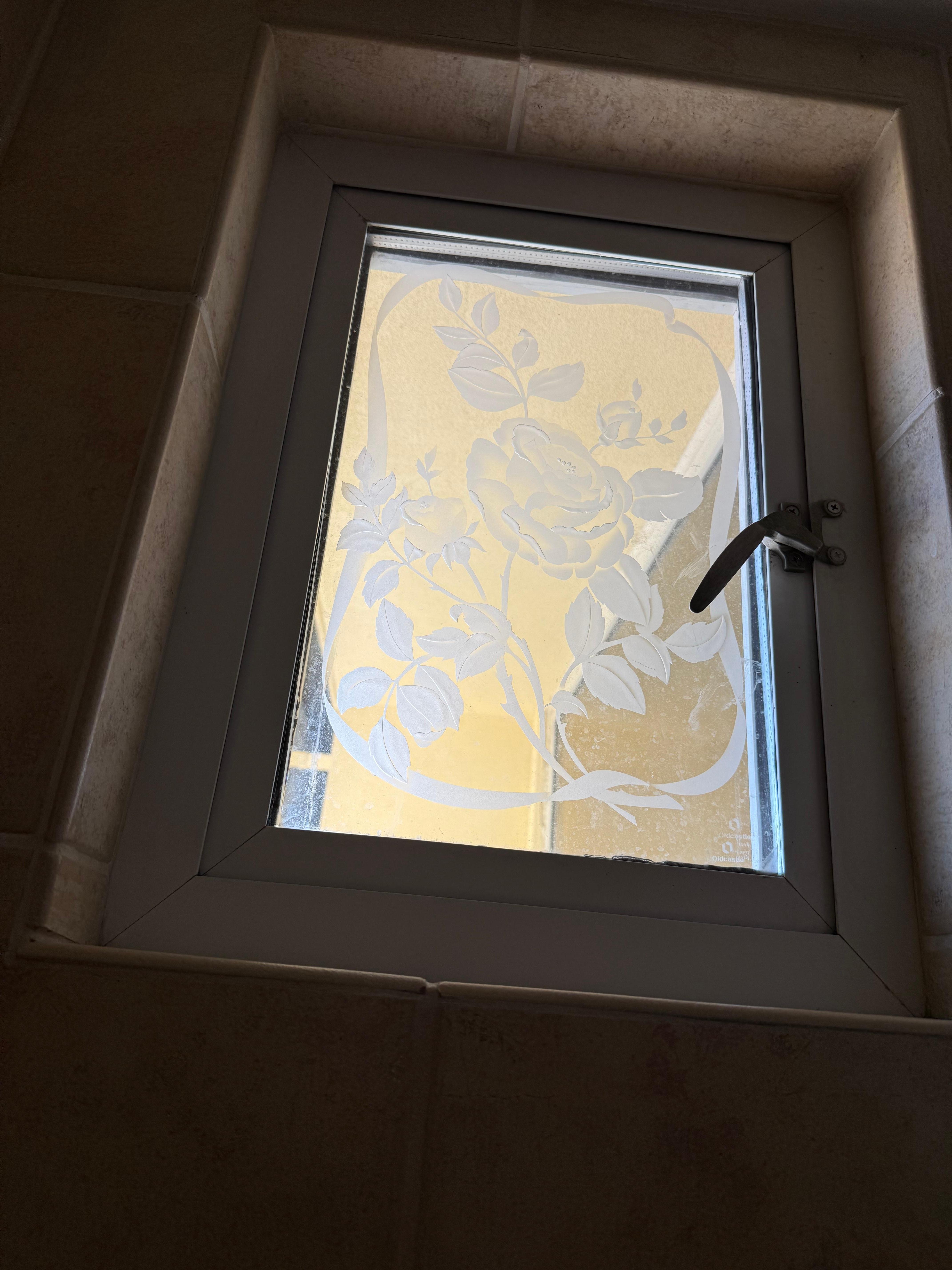 Beautiful windows that open in showers