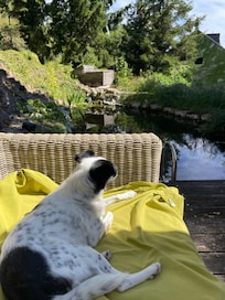 Den Ausblick am Teich genießen ist für Mensch und Hund gleichermaßen schön 🙂