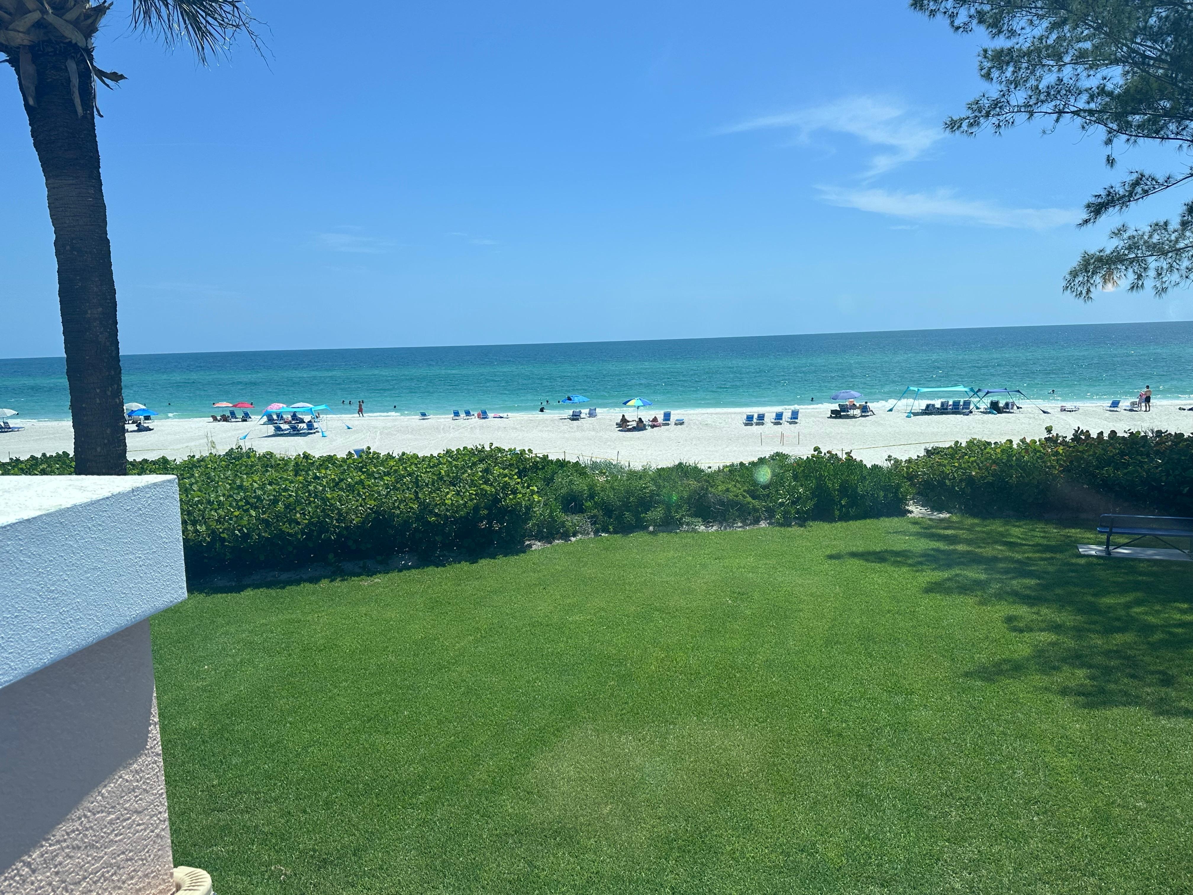 View from picture window