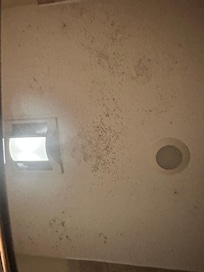 This is the mold upstairs