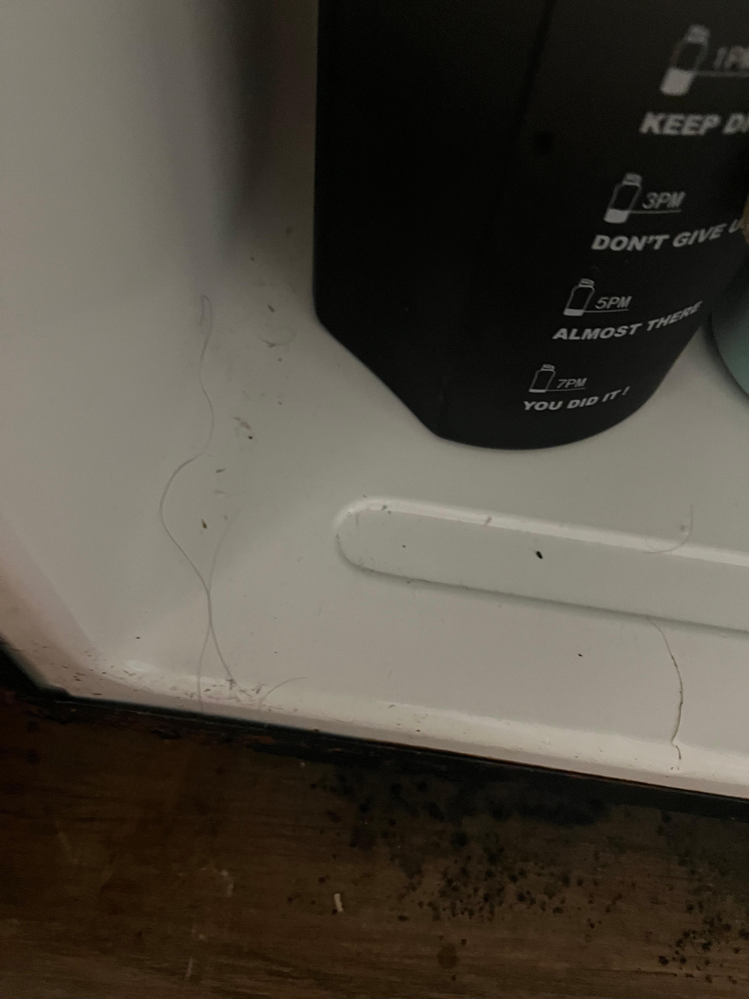 El refrigerator estaba sucio lleno de cabello 