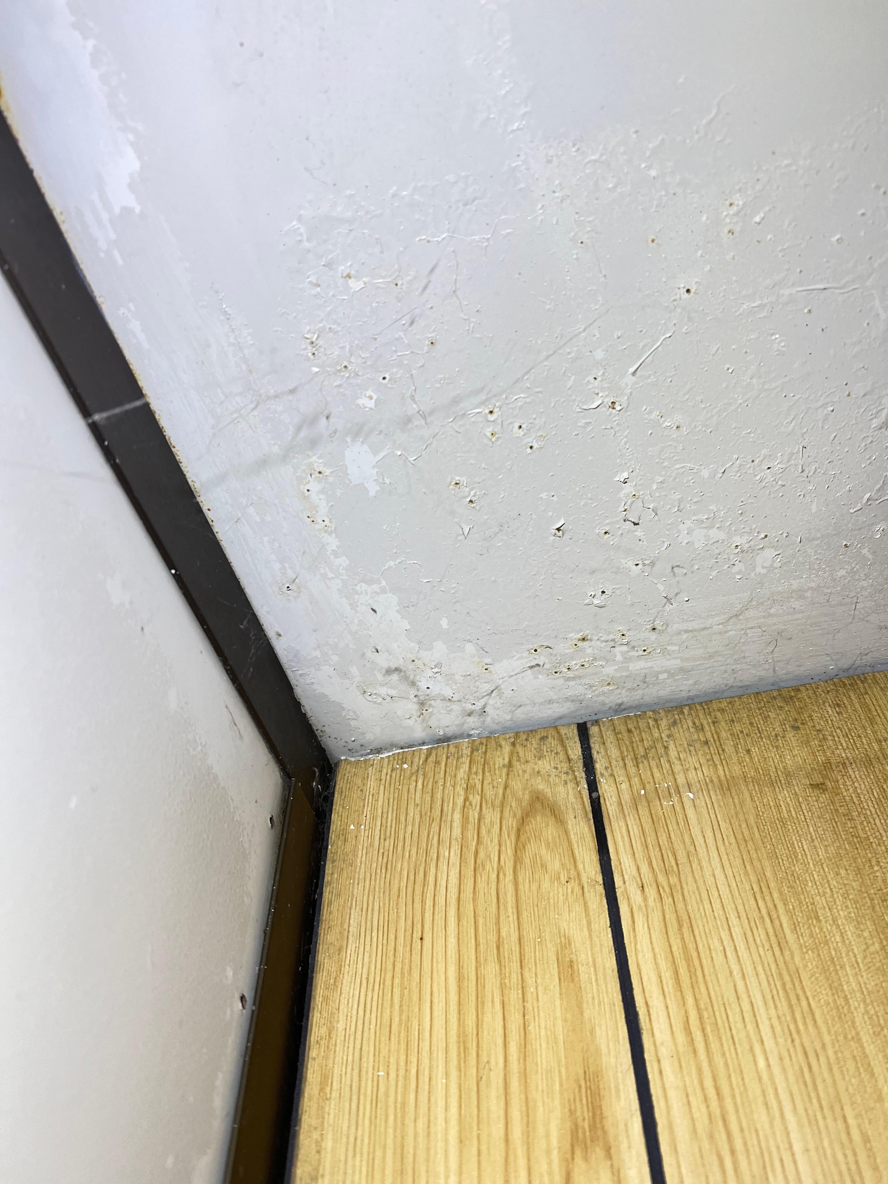 Above the bed