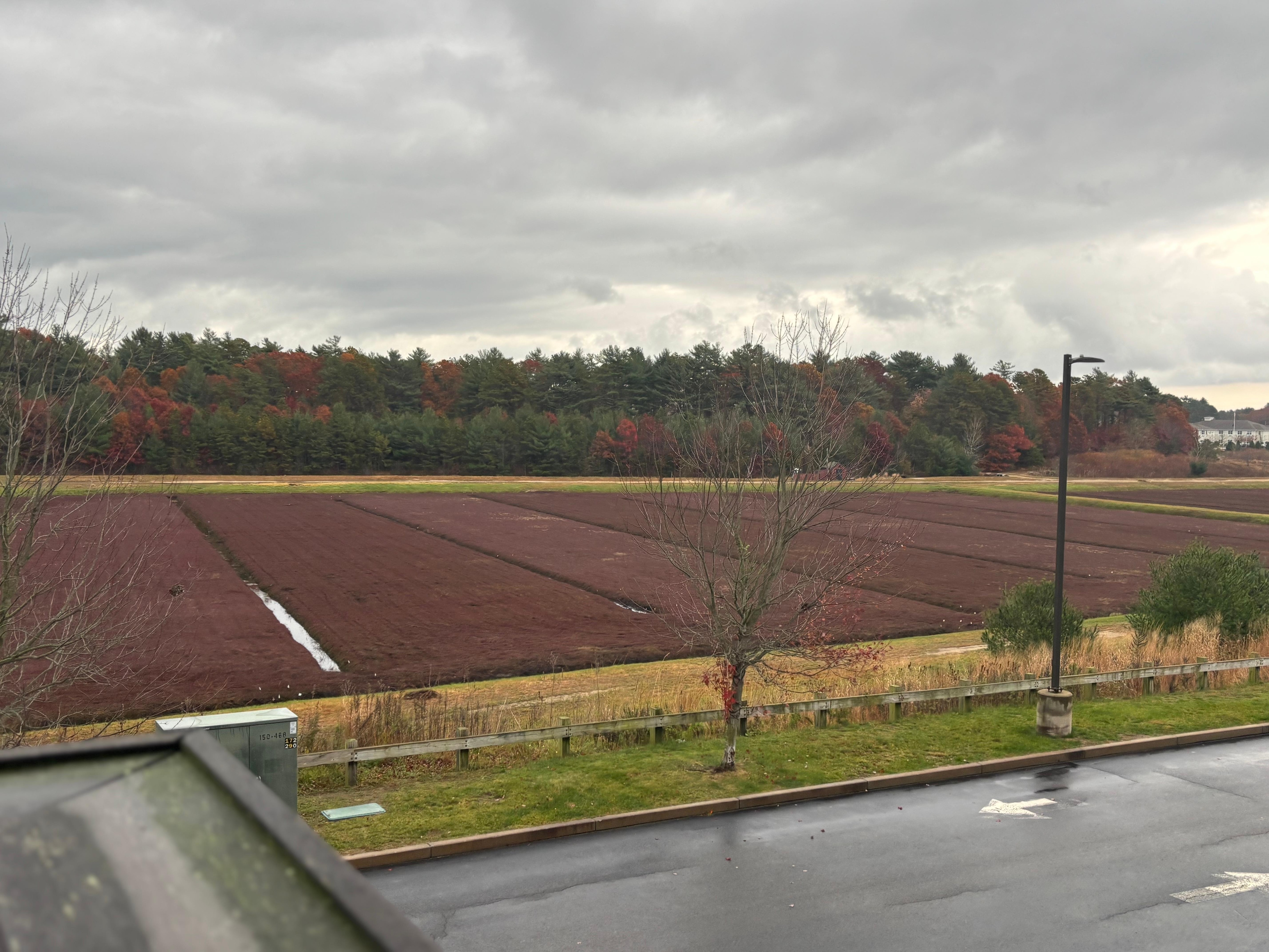 This was a view from our room, beautiful and tranquil 