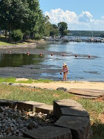 Beach at the lake
