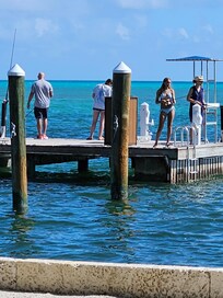 Fishing at the pier🦈🐟🎣