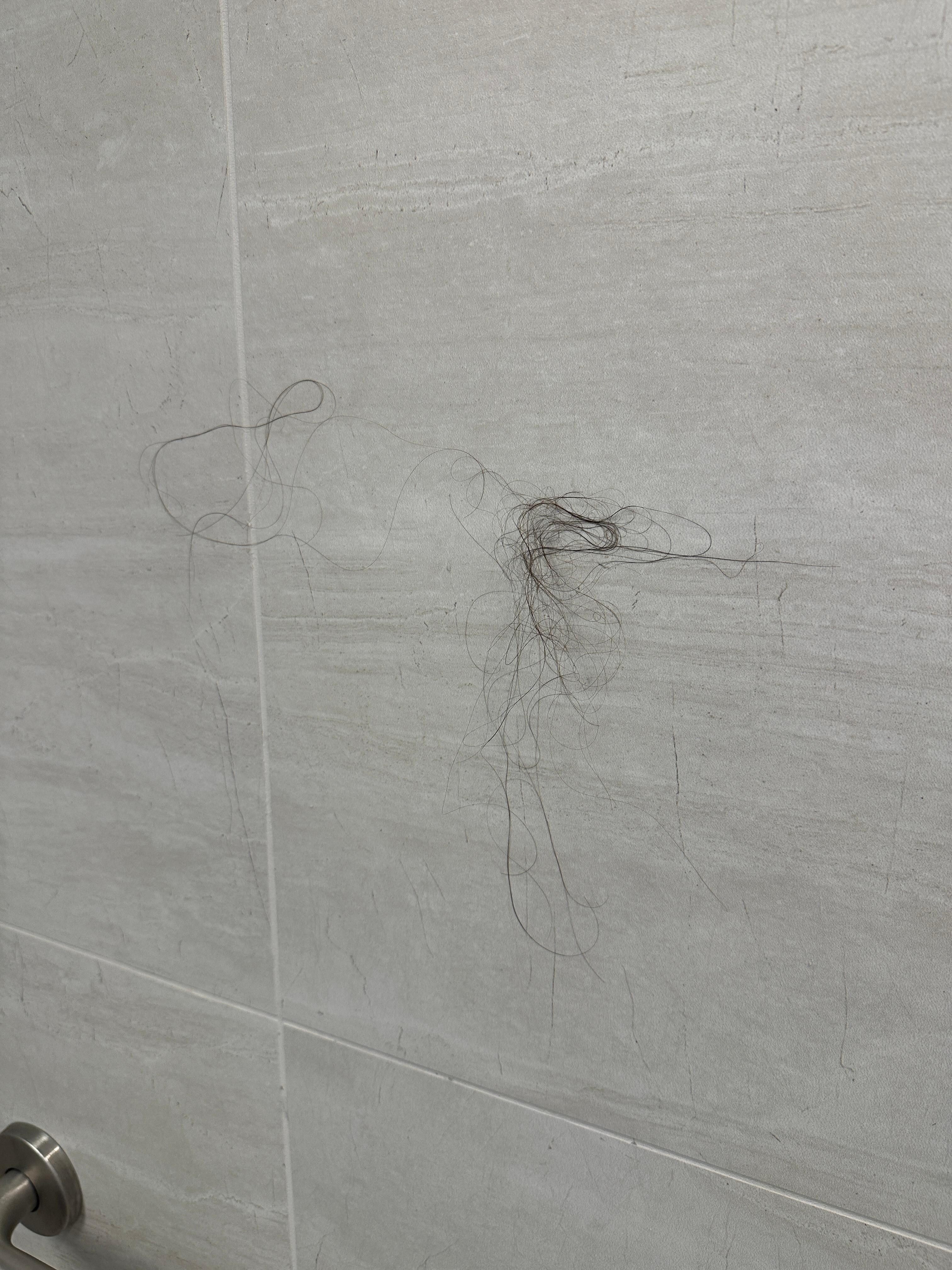 Hair in the Shower when we first checked into the room 