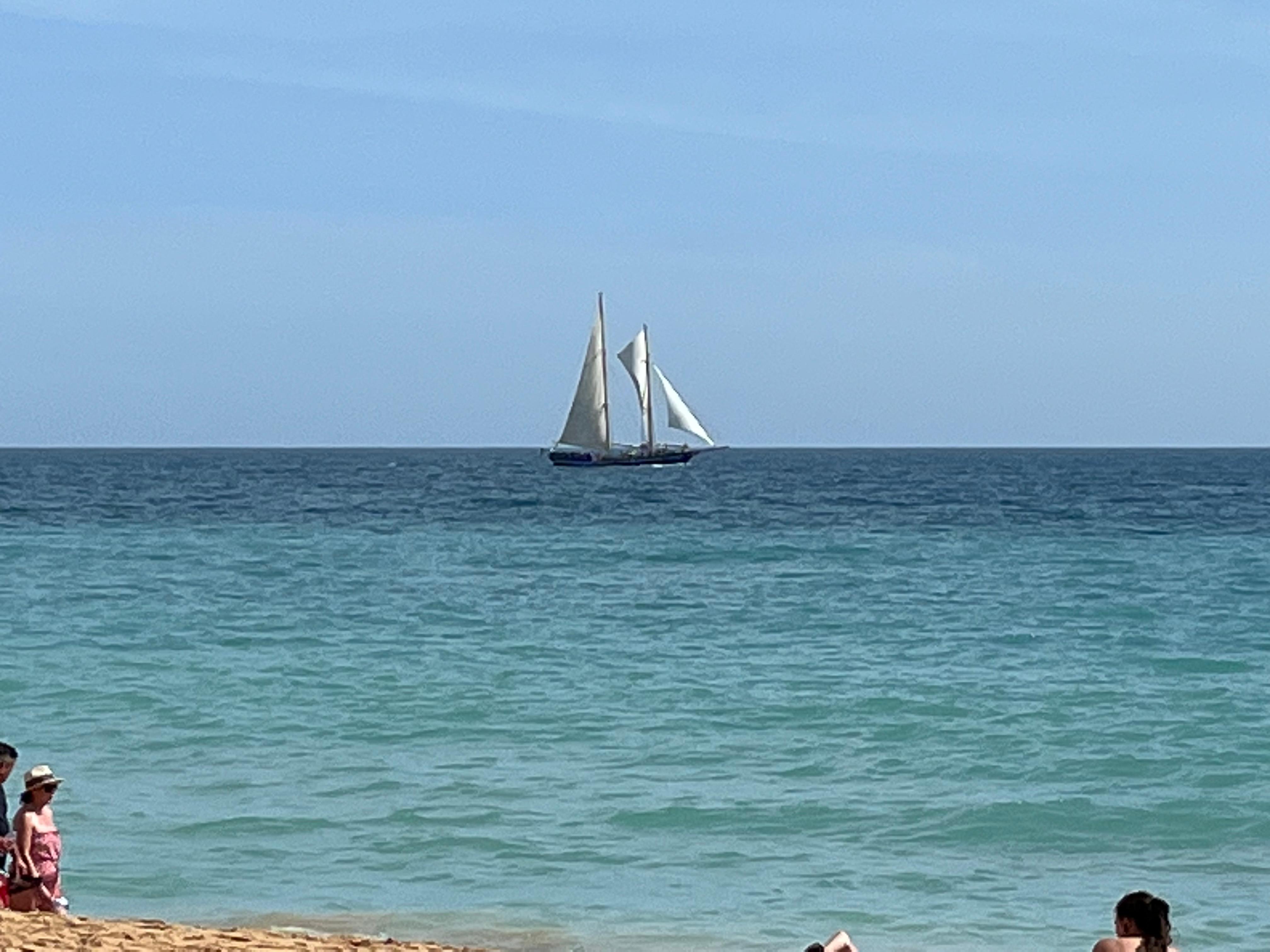 Sail boat heading for the marina