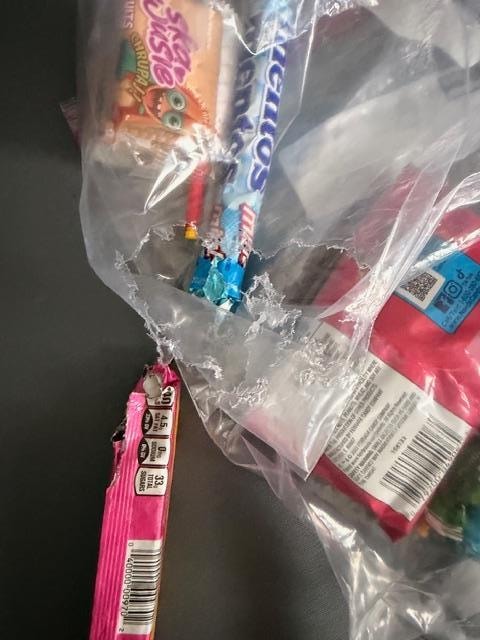 mouse in our room!!!