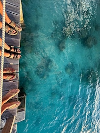 Corals from the docks.