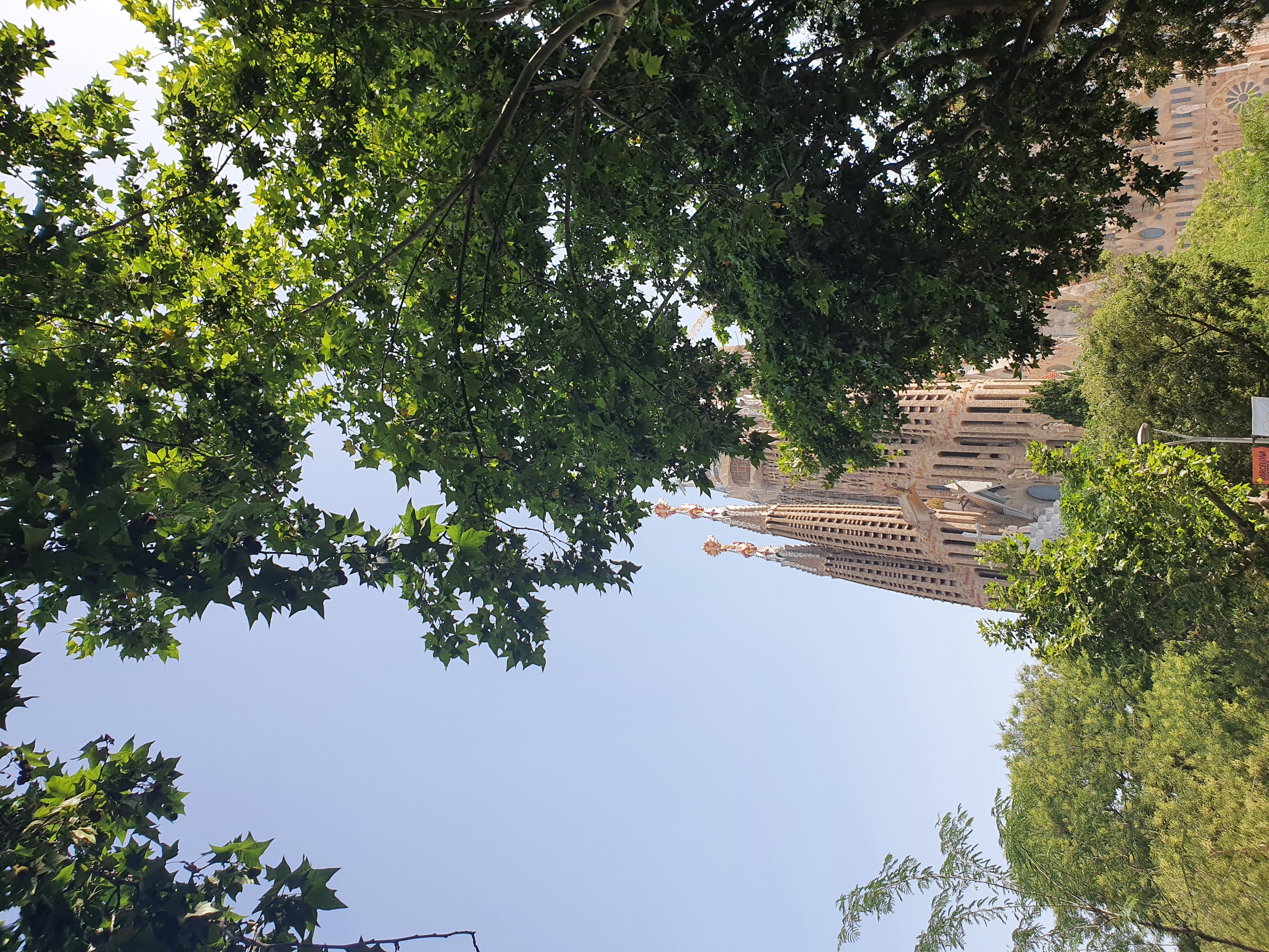 Sagrada Familia