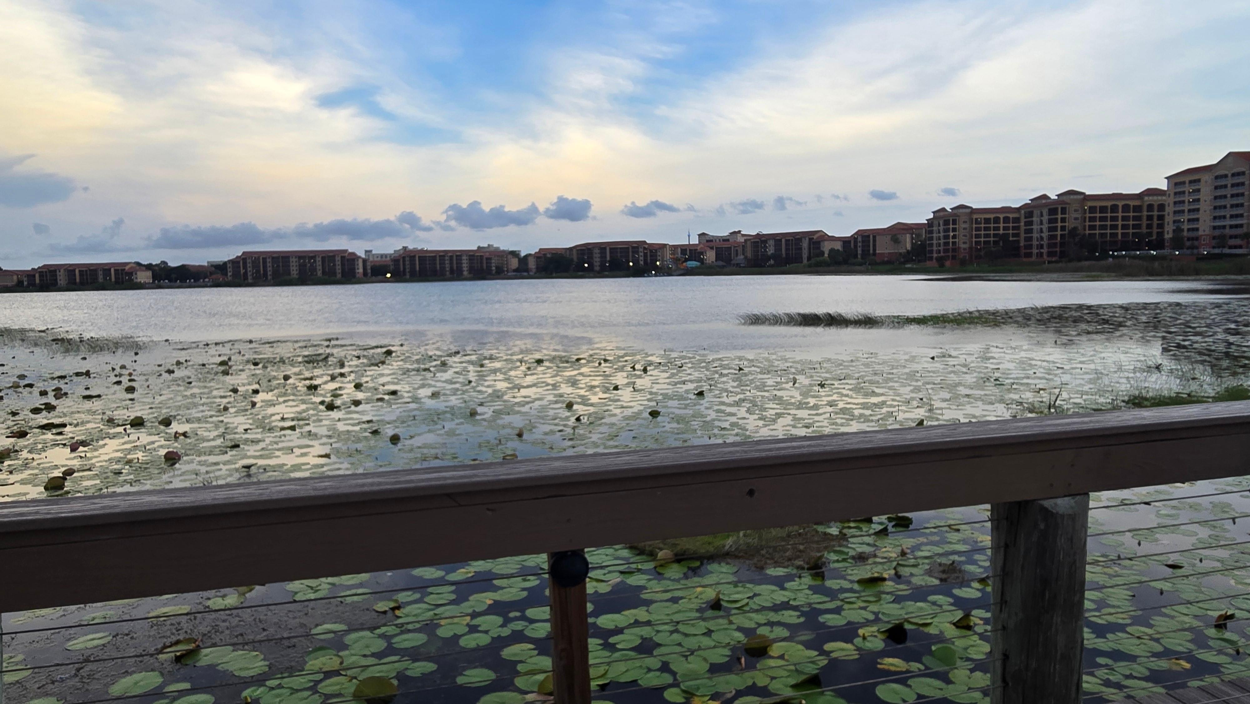 Marina view of the resort
