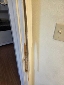 One of the bathroom door walls