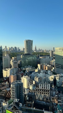 Vista desde la habitación.