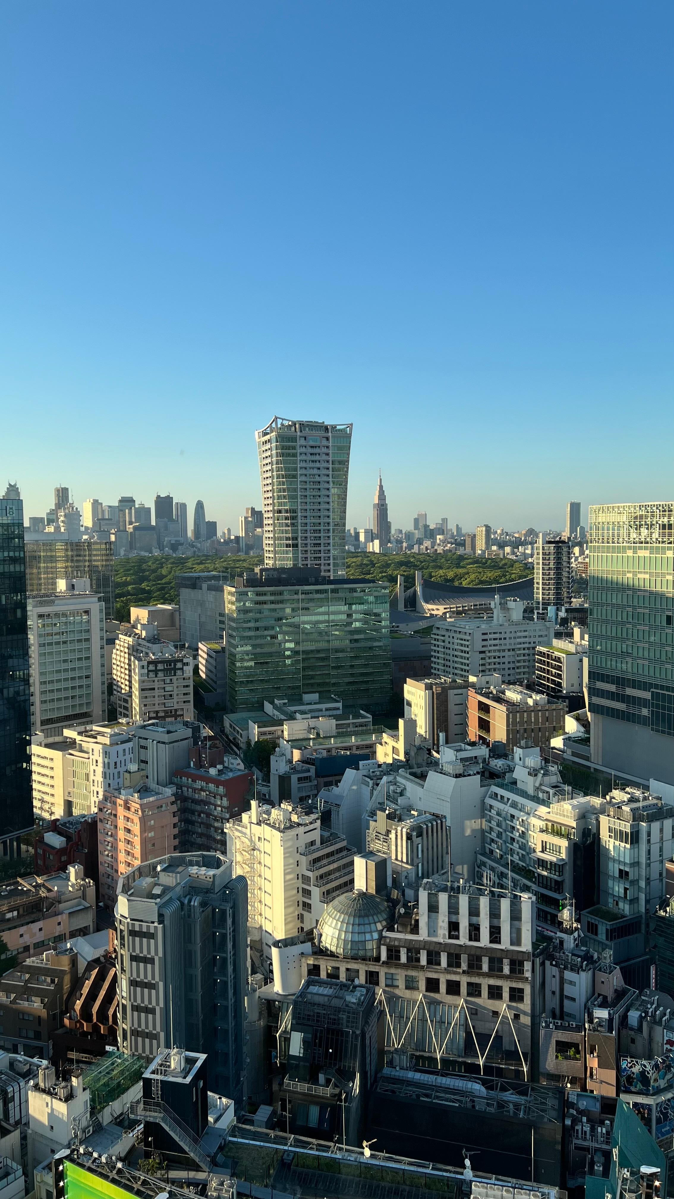 Vista desde la habitación.