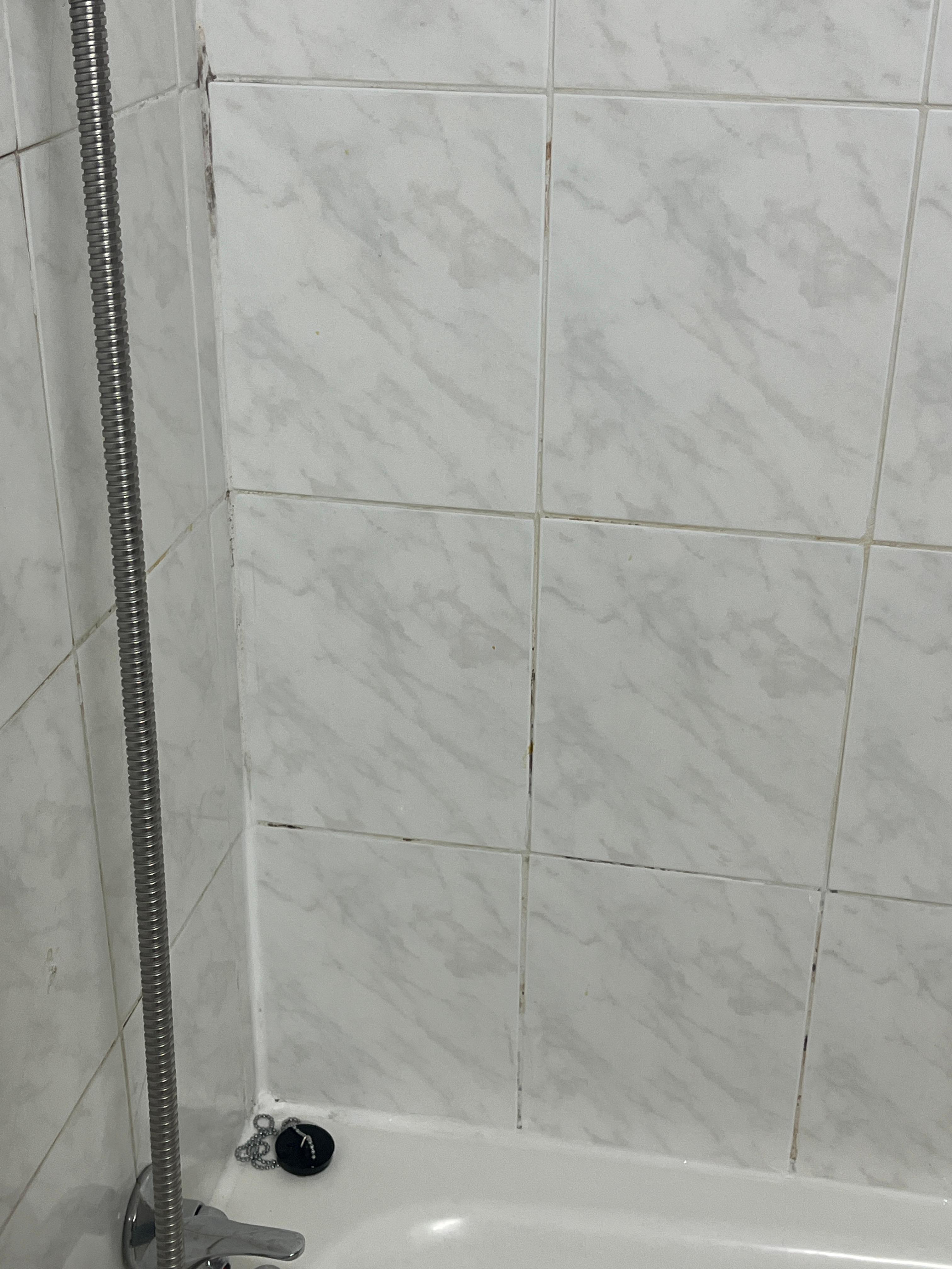 Mouldy grout