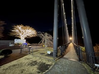 ホテルの周辺です。