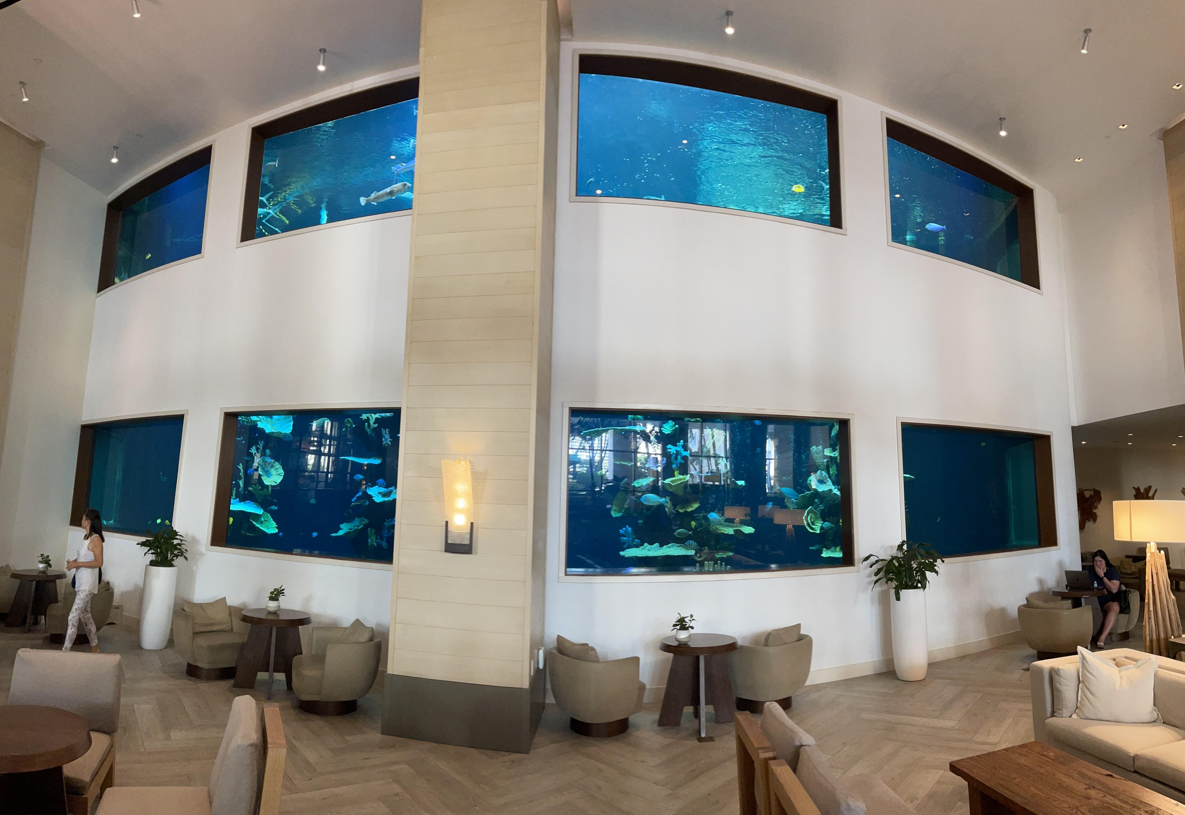 Front Lobby Attraction