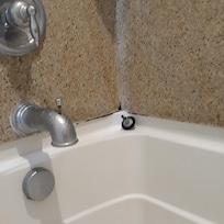 Mouldy shower