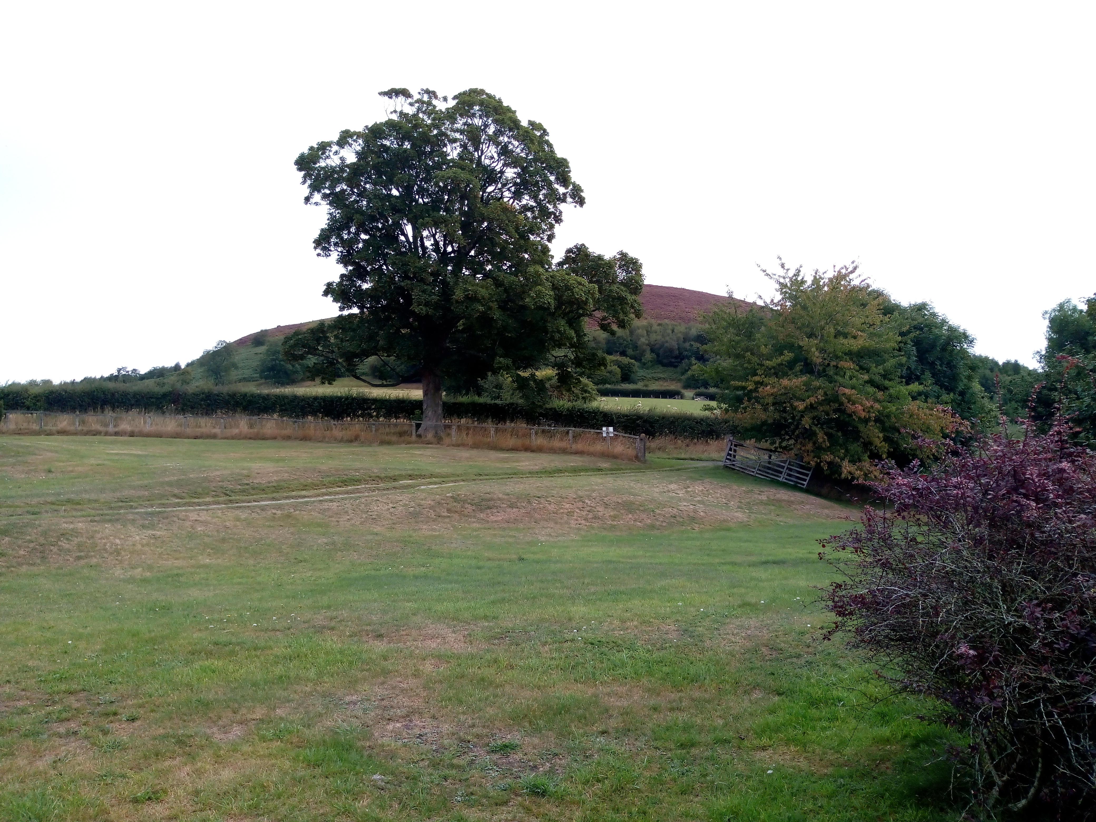 View from the window of the Carthouse 