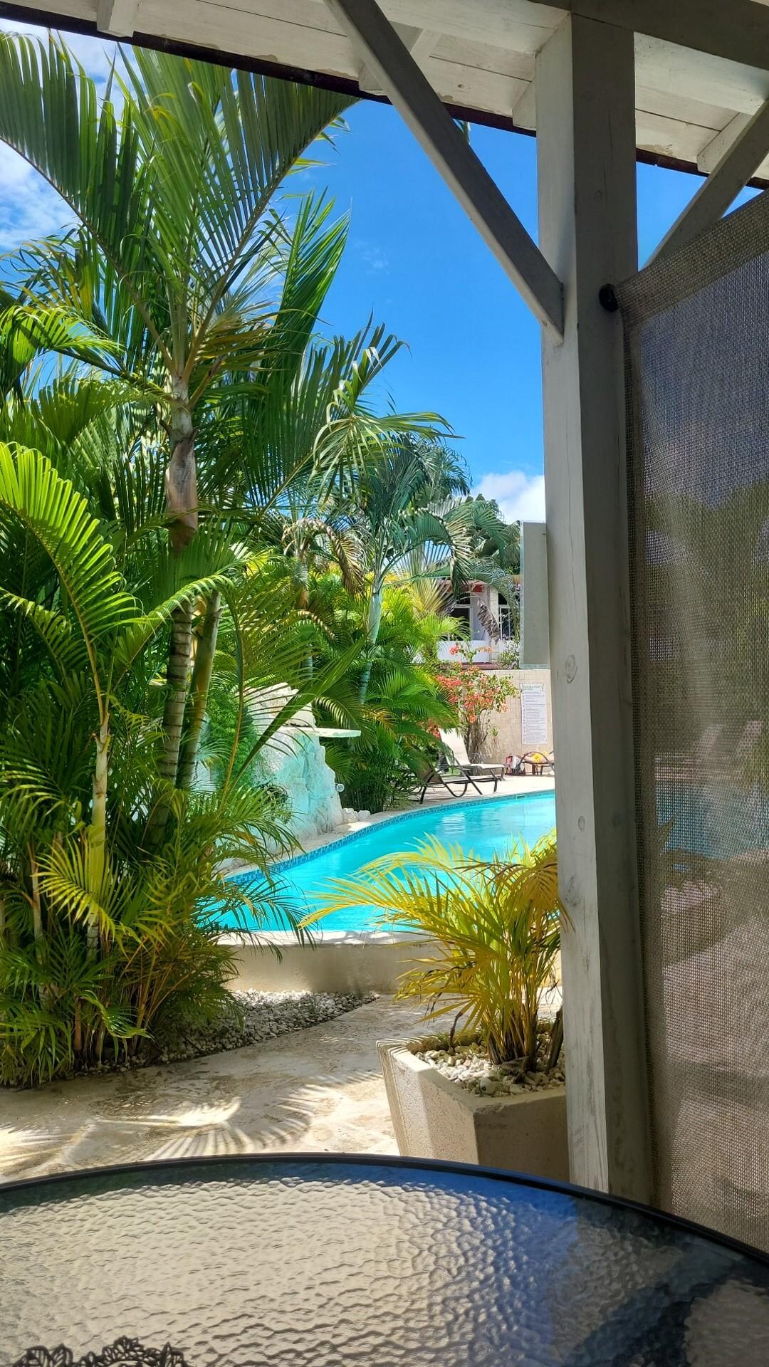 Photos prisent de la terrasse. 