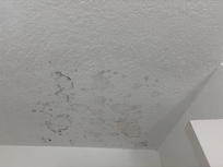 Bathroom mold in the ceiling