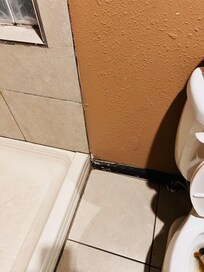 There is spiders in the bathroom