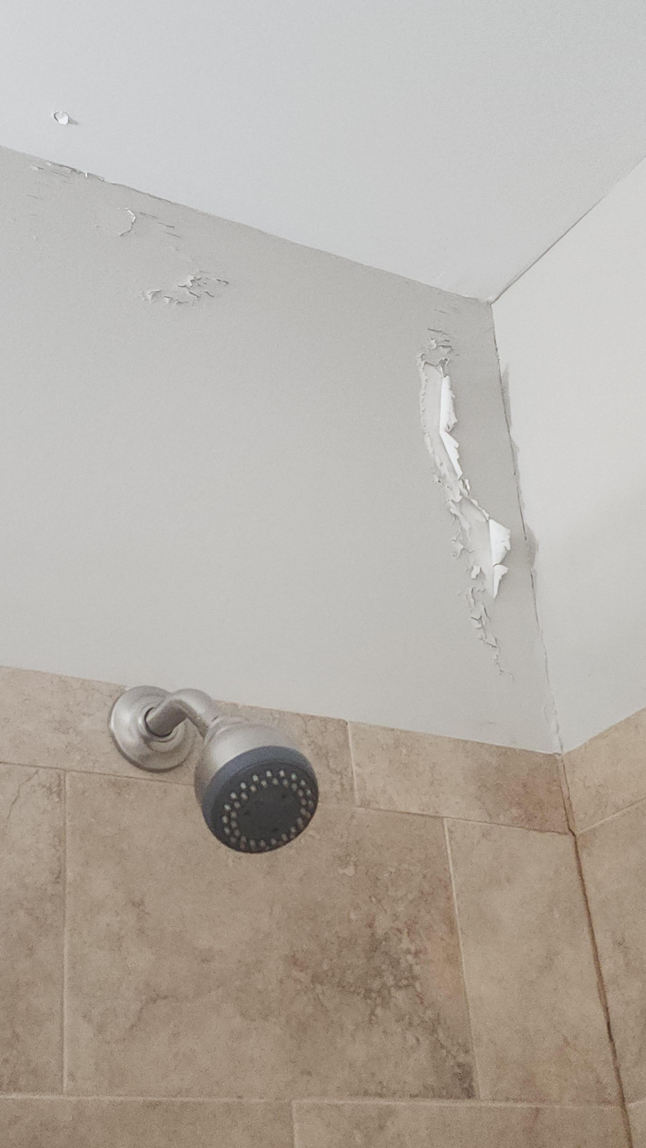 Paint peeling off the wall in the downstairs bathroom