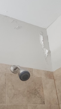 Paint peeling off the wall in the downstairs bathroom