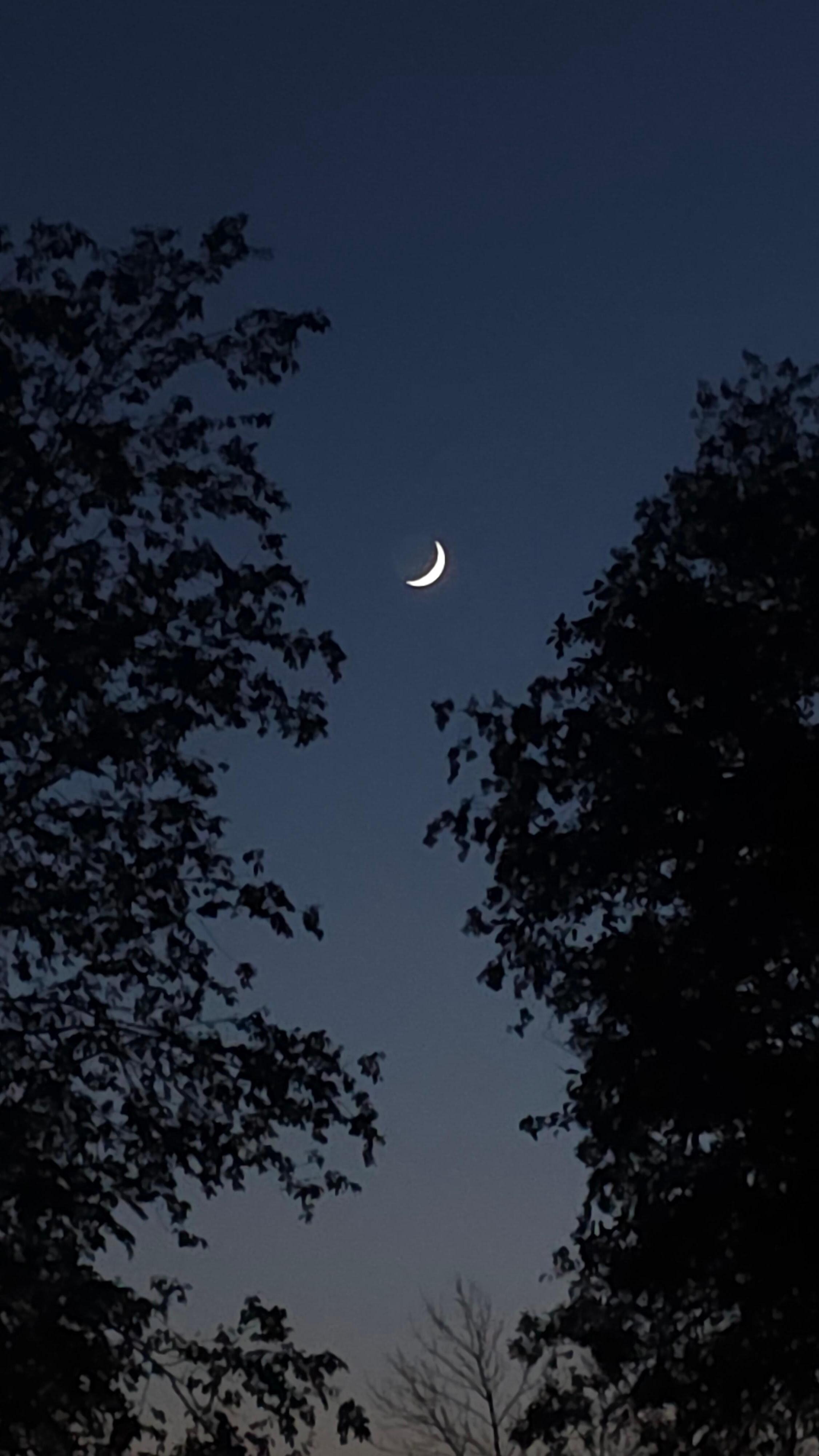 The best stargazing 
