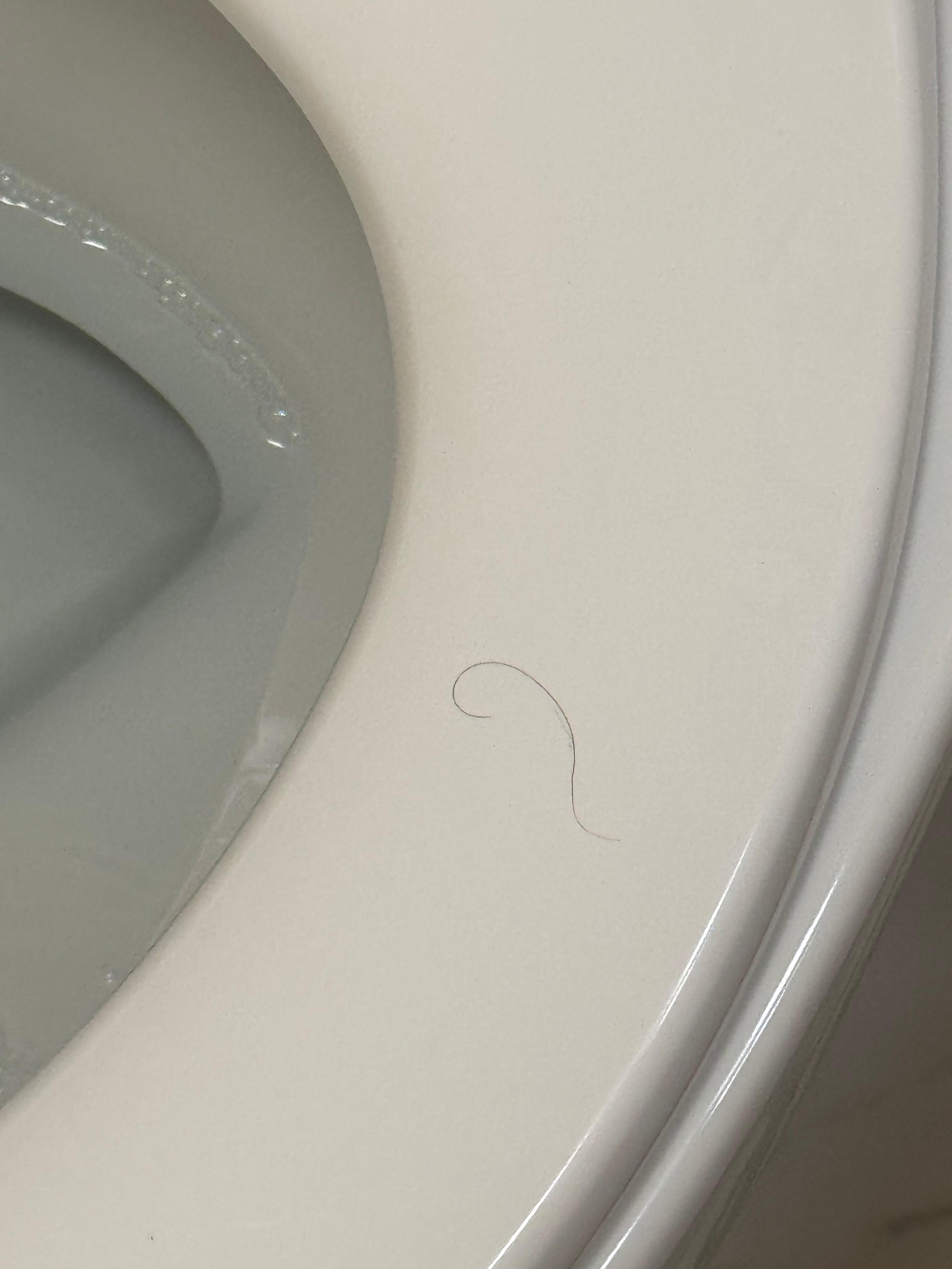 Hair on the seat